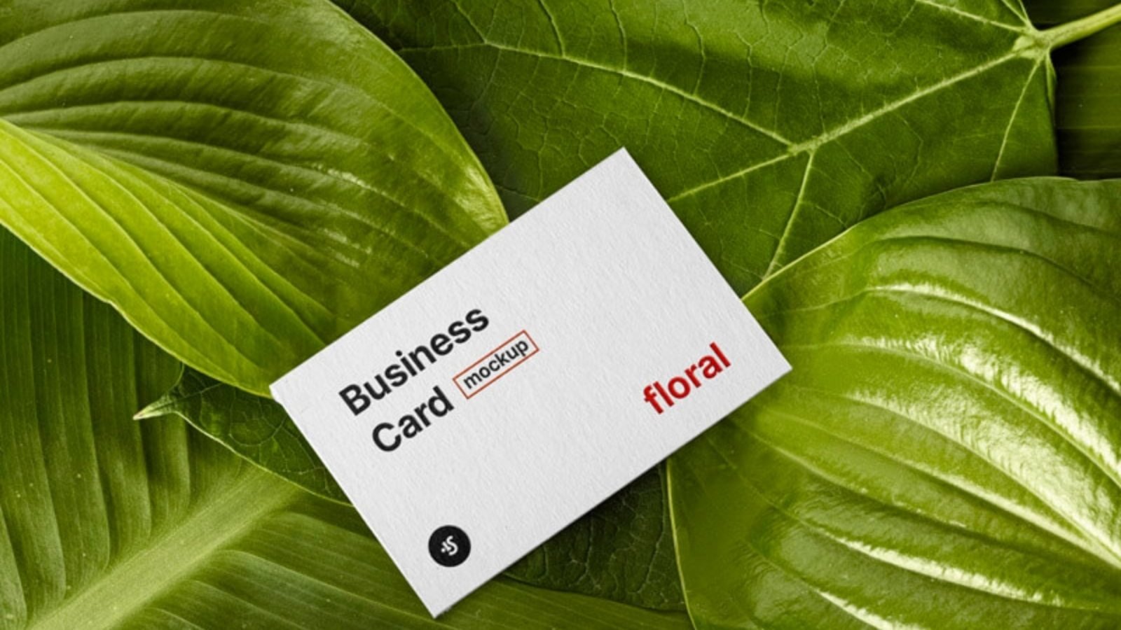 Black Holes Can Gobble Up Neutron Stars Whole